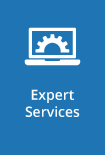 expert-services